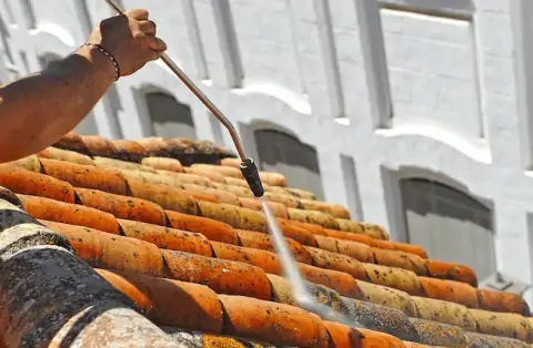 Nettoyage de toitures - Savignac les Eglises